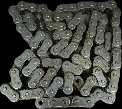 Click Here To Enlarge This Photo Of Genuine drive chains